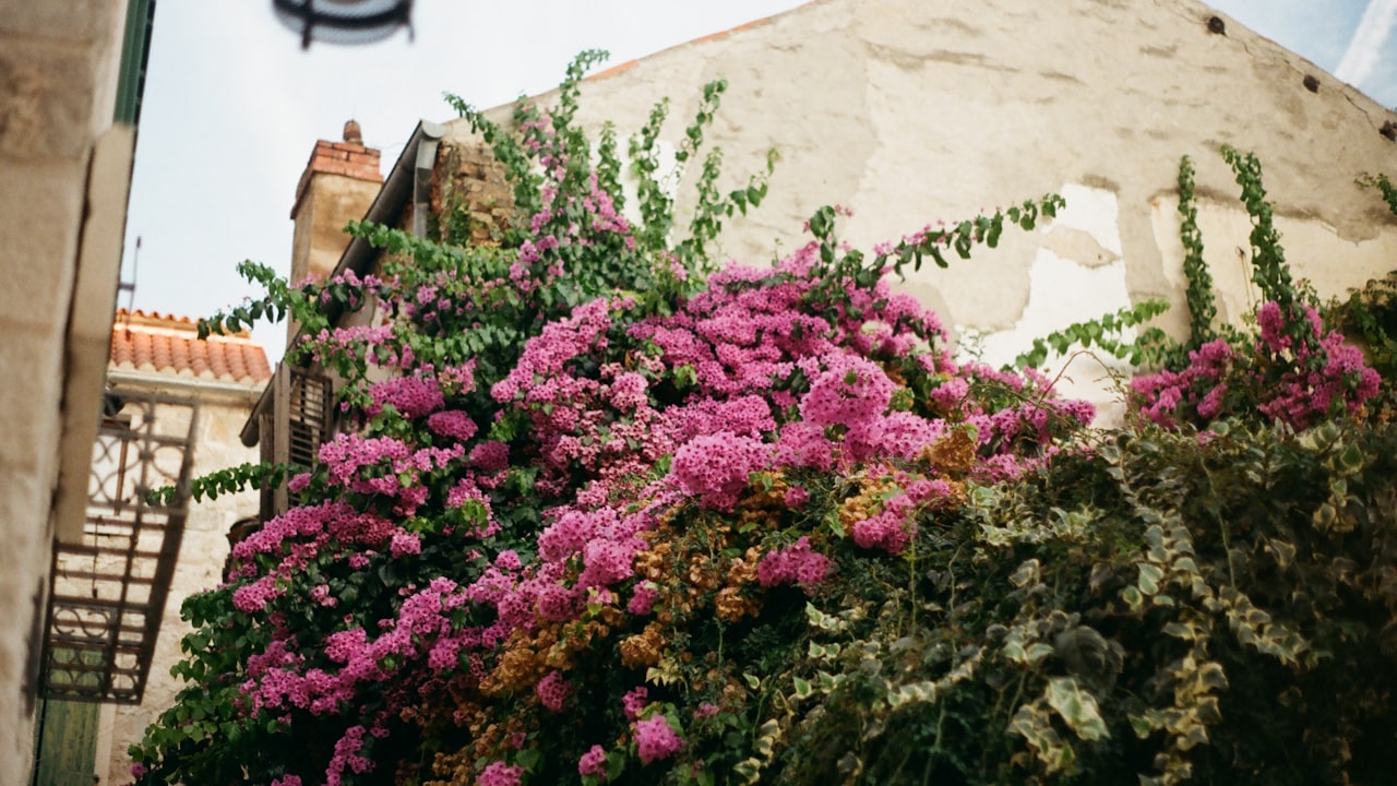 Navigating the Path to Choosing the Right PLC Splitter Manufacturer